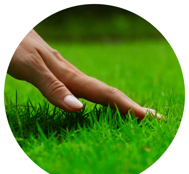 rasenpflege kreis themenwelt rasen gruen hand